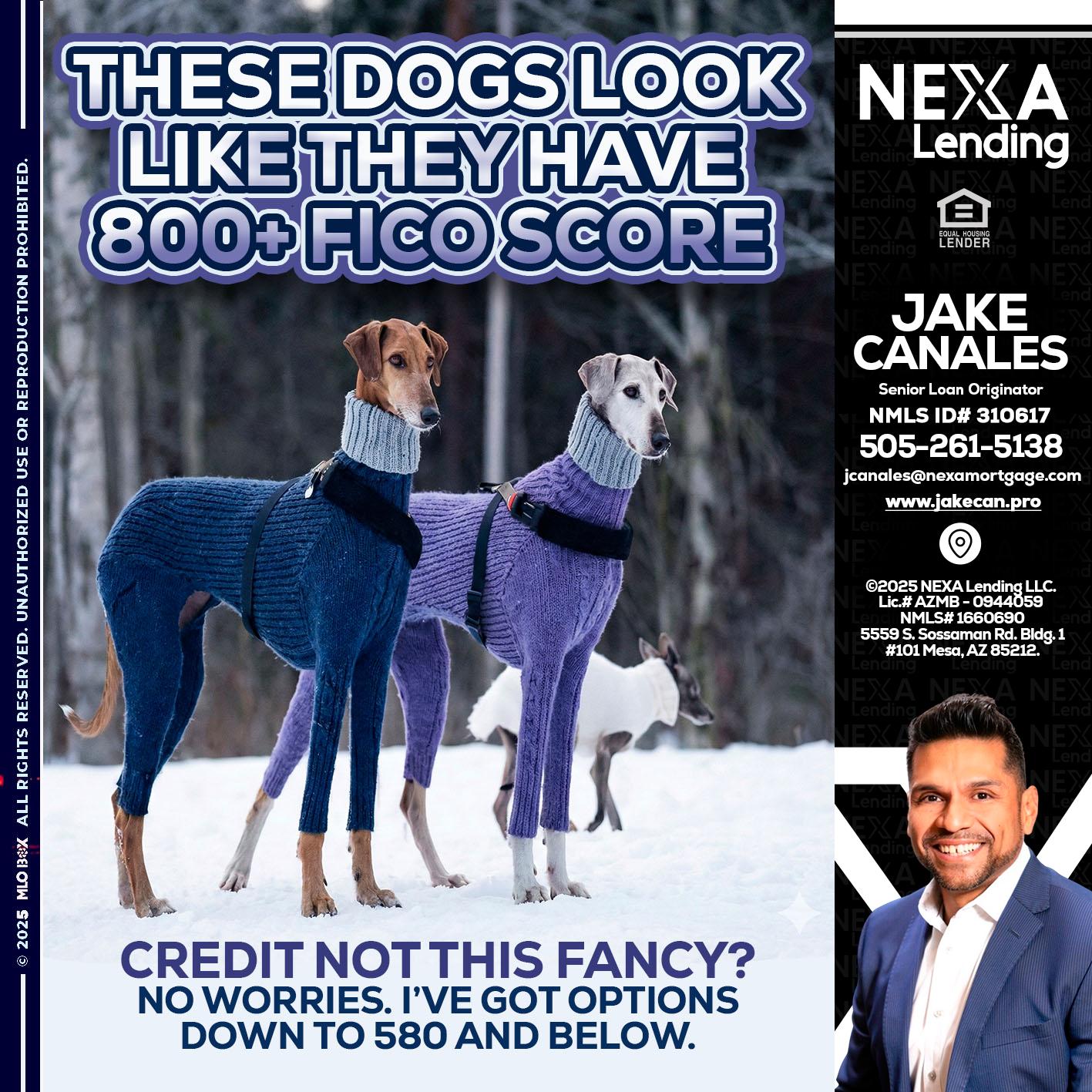 THESE DOGS LOOK - Jake Canales -Senior Loan Originator